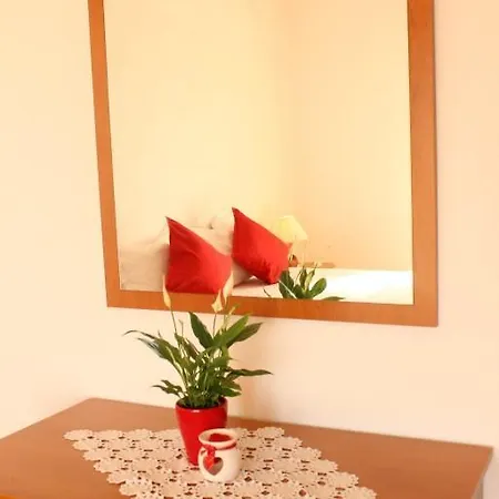 Novi Put Apartamento