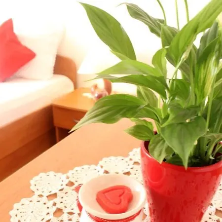Novi Put Apartamento Bol